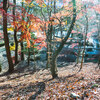 リーフでお出かけ！紅葉の名所 土岐 曽木公園【東海ドライブ】