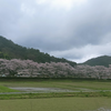 体調回復のきっかけは？