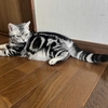人間ドックに行った結果