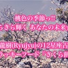 桃色の季節っ!! きらきら輝く あなたの未来☆☆ 神秘家 龍樹(Ryujyu)の12星座占い3月号