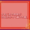 タオバオで注文した荷物が20日かかって届いた話。