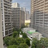 晴海フラッグの転売ヤーの実態像