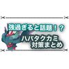 ハバタクカミが強過ぎる！ みんなの対策や努力値調整まとめ