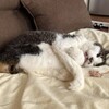 10年に1度の猛暑？札幌は例外のよう