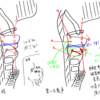 喉頭の動きまとめ