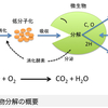 生ゴミ処理の生物学的原理