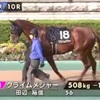 【シルク】クライムメジャー 奥多摩S 結果