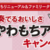 奏でるおいしさ新やわもちアイスキャンペーン総計1,300名に当たる！