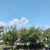 (巻四十五) 手術後や死より目覚めて見る夕焼(島田章平)