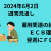 【24/6/2】週間見通し　ISM製造業、雇用統計など重要経済指標　ECB理事会　翌週にはFOMCや日銀会合