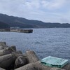 6：海釣りを始めて　間もなく一年　終