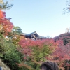 京都　紅葉の旅　東福寺