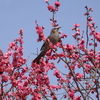 水月公園