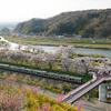 しばた千桜橋