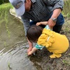 したがり　　学校あるある（教室スケッチ）232