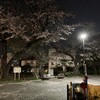 『春の夜の公園』