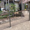もこはどこだ？