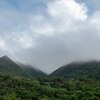 秋の嘉津宇岳2016　その10　クモの中でクモに気づく