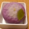 森八さんの上生菓子と初めまして！【夏のあんこ博覧会】