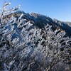 大山初冠雪の翌日に三鈷峰へ登ってきました。