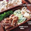 Vol.361-アップルジンジャーポーク弁当(&#92;380.-)