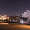 宇治川派流のであい橋で夜桜を楽しむ@2021