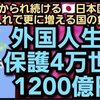 経団連とクルドと不法移民