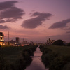 東高瀬川と松本酒造の夕景