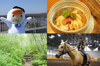 【樽前山・ホッキ貝・乗馬・ウトナイ湖！】深夜便を利用して新千歳空港周辺を遊びつくそう～苫小牧市編～