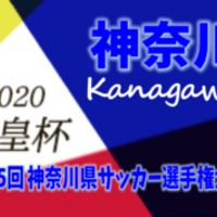 22年度 第27回神奈川県サッカー選手権 第102回天皇杯 神奈川県代表決定戦 優勝は桐蔭横浜大学 天皇杯神奈川県代表に ジュニアサッカーnews