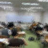 テスト前の爆裂と2学期の定期テストによく出る問題！