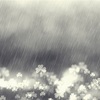 梅雨空け訂正