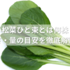 小松菜ひと束とは何株？重さ・量の目安を徹底解説！