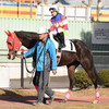 2016郡上初詣寺社めぐりと名古屋競馬・葵詣