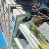 2022年1月：マリオットプラチナ＆チタン修行８泊目　 ＨＩＹＯＲＩチャプター京都トリビュートポートフォリオホテルに初宿泊・お部屋紹介