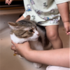 娘と仲良くなりたいきなこもちあんころもち特集6