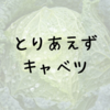 トリキで「とりあえずキャベツ！」はおかしいと思う。