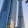 惜春の候の雑記所感