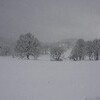 今冬初の大雪