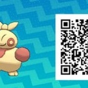 サンムーン 色違い マクノシタ ハリテヤマ Qrコード ゲーマーズハイ 最新ゲーム攻略data Base