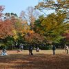 第１０回福井お散歩トレーニング　2017年11月5日