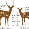 【2020年代的展開】鹿の子のこのこ？