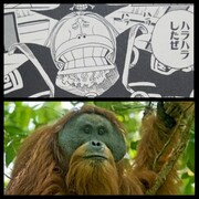 漫画ワンピースの感想を1話ずつ綴っていくブログ 漫画ワンピースの感想を1話ずつ綴っていくブログ