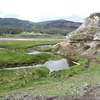 Uinta Ground Squirrel at Soda Butte