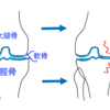 診察の結果