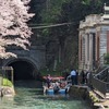 京都の近代化産業遺産と咲き誇る桜・琵琶湖疎水