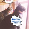 楽天キャンペーン事務局から試供品が届きました。何故？