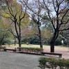 【名所】東京都庭園美術館でピクニックする