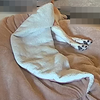 平日２日間、だよ