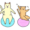 『illust AC』にイラストを掲載しました。お座りする猫/バランスボールにのる猫/猫とスニーカー